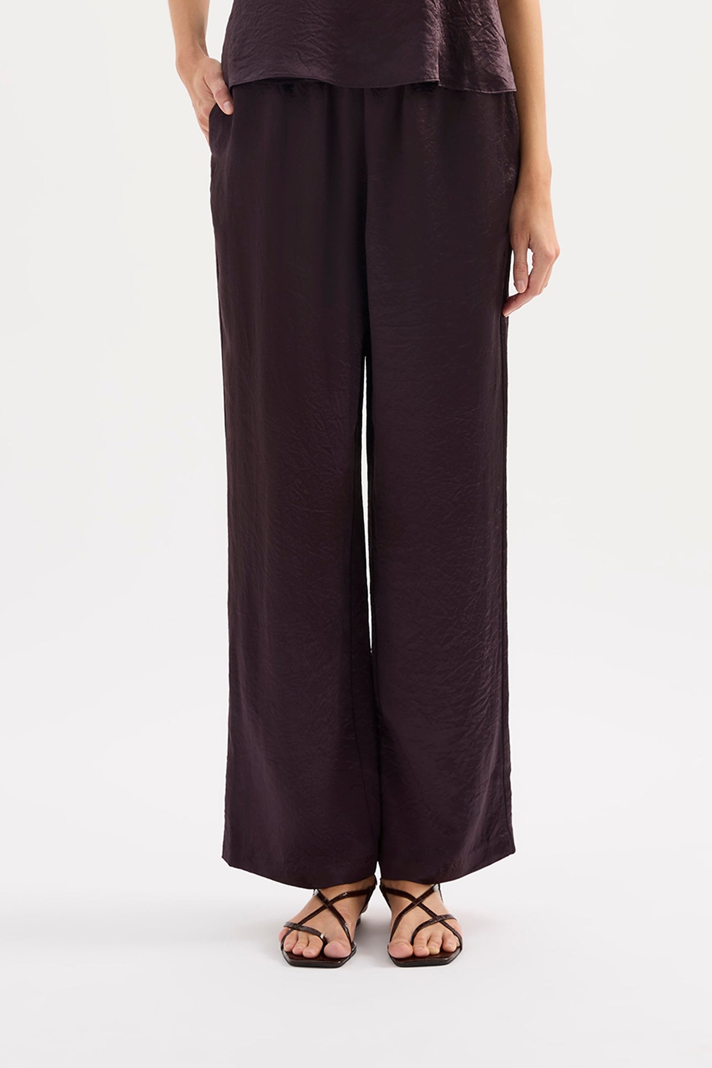 ANA PANT