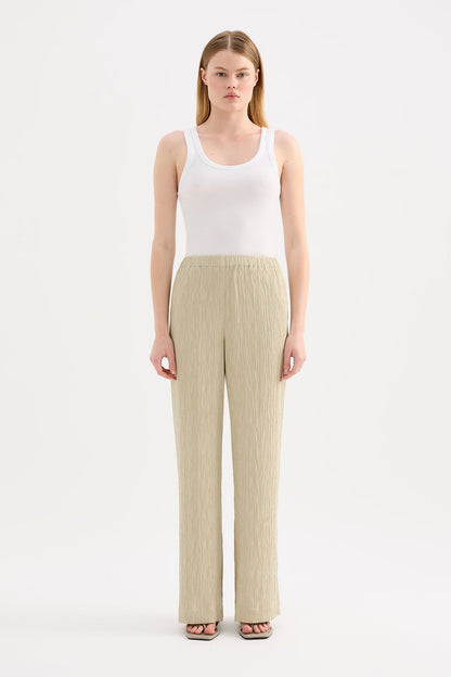 DANIKA PANT