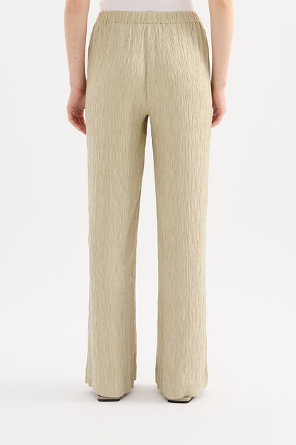 DANIKA PANT